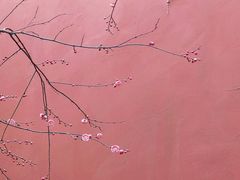 -钱王祠