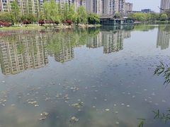 -洋湖国家湿地公园