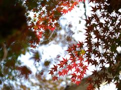 -西湖国宾馆·紫薇厅