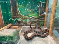-上海大自然野生昆虫馆