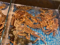 -江户前日本料理(瑞诗酒店店)