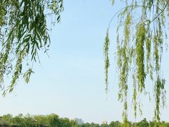 -济南大明湖景区
