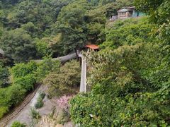 -南丹山森林王国