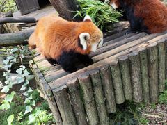 -云南野生动物园