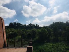 -立新湖公园