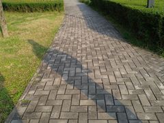 -洨河生态公园
