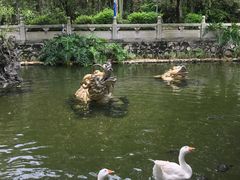 -国恩寺