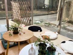 -猫咪派对(江南西店)