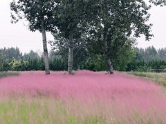 -汉长安城未央宫国家考古遗址公园