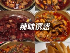 -涿派·炝锅鱼(涿州店)