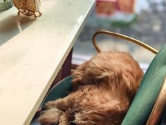 -后海16号·北京私房菜