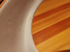 -皇品田苑日式料理(苏州中心店)