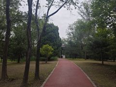 -绿堤公园