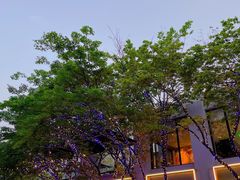 -茶颜悦色(花园道店)
