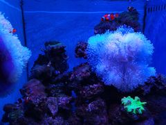 -多彩贵州城极地海洋世界