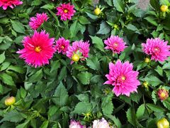 -玉泉综合市场(天山北路店)