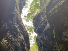 -牛背梁国家森林公园