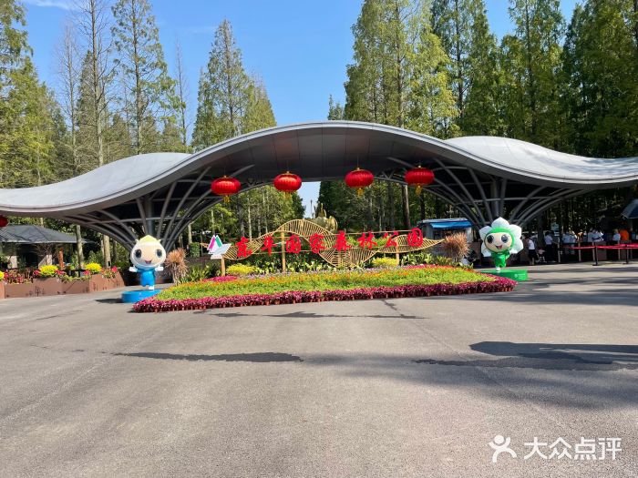 东平国家森林公园图片