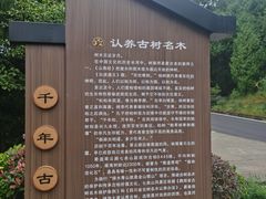 -七曲山风景区