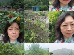 -宝岩生态观光园