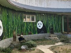 -南昌动物园