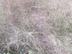 -苏州河梦清园环保主题公园