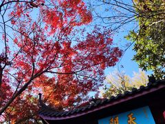 -大慈岩风景区