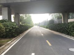 -梦之蓝青奥体育公园体育馆