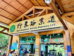 -野象谷景区