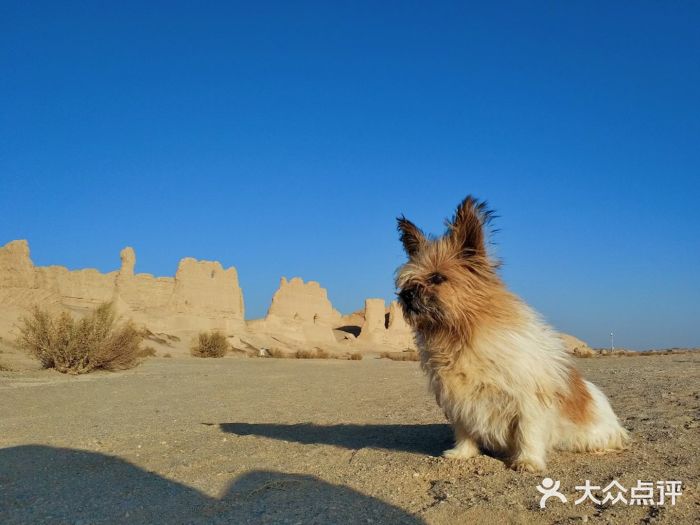 河仓城(大方盘城)图片