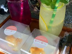 -柴犬高等学院·狗咖·柴犬售卖·宠物训练