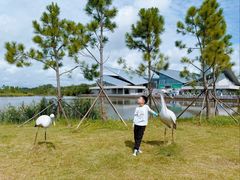 -盐城丹顶鹤湿地生态旅游区