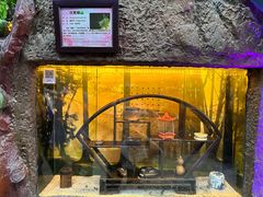 -上海大自然野生昆虫馆(东方明珠·爬宠昆虫探索中心)