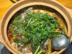 -九道菜有鸡鱼头(石鼓路店)