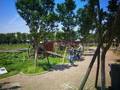 -武汉紫薇都市田园