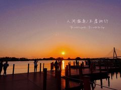 -芒洲湿地公园