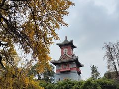 -四川大学(华西校区)