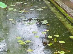 -八大山人梅湖景区