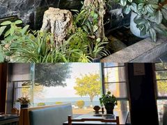 -野菌皇海景野生菌火锅(滨海大道店)