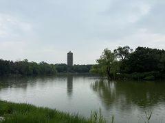 -北京大学赛克勒考古与艺术博物馆
