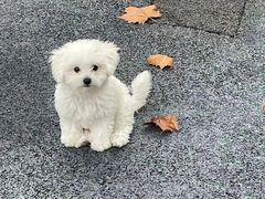 -潮州西湖