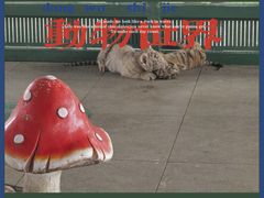 -秦皇岛野生动物园