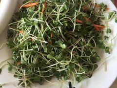 -青岛锅贴(四流中路店)