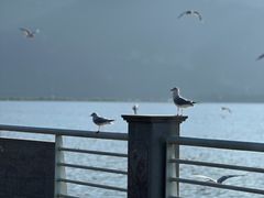 -滇池海埂公园