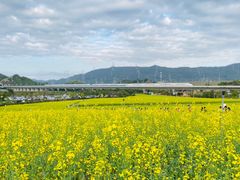 -光明小镇欢乐田园