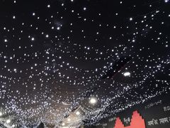 -弘阳·未来世界(弘阳广场店)