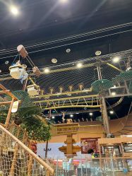 -卡通尼·Safari非洲探索乐园·生日会(金桥国际商业广场店)