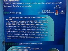 -大连老虎滩海洋公园