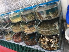 -仙螺岛海鲜自助餐厅(总店)