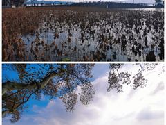 -北山街历史文化街区